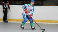 Slavicek